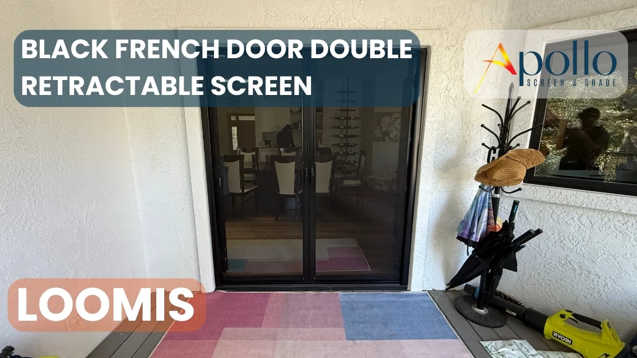 Black French Door Screen.webp